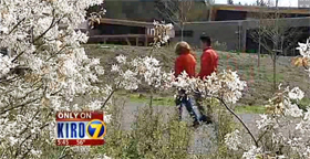 Weddings at Brightwater