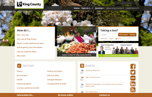 Understanding user realities is important for KCIT staff working to improve the County’s digital presence. 