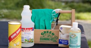 12314664_10153153738262301_8387325503390468160_o