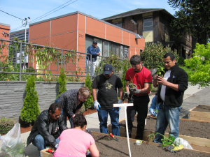 Image is courtesy of Casa Latina