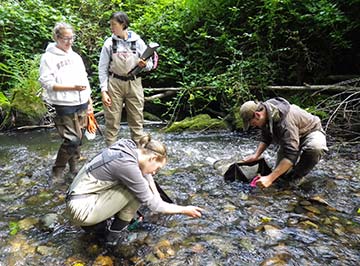bear-creek-sampling