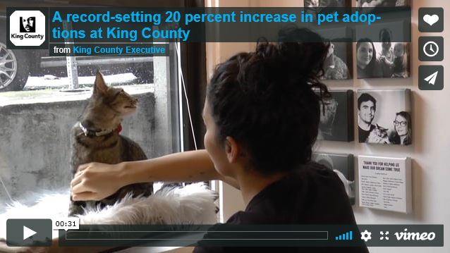 a record setting 20 percent increase in pet adoption Capture