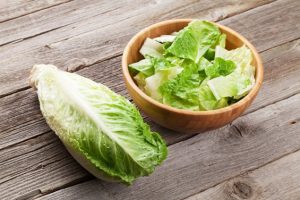 romaine-lettuce-medium