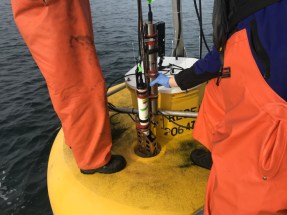 The Point Williams Buoy 2