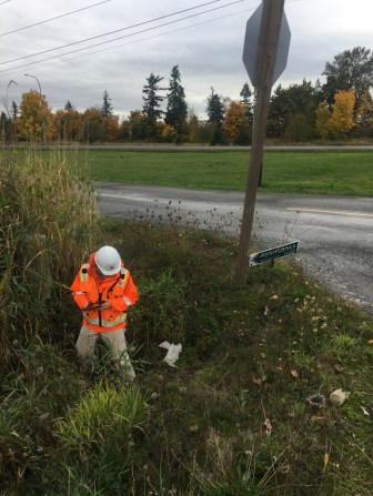 downstreamblog-post-1_-image-1