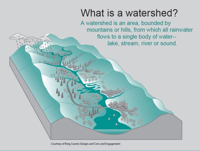 Environmental education programs and resources Capture