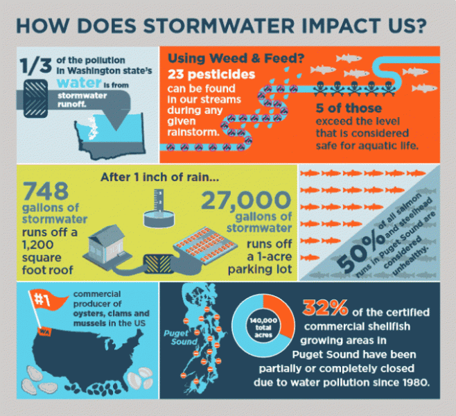 how-does-stormwater-impact