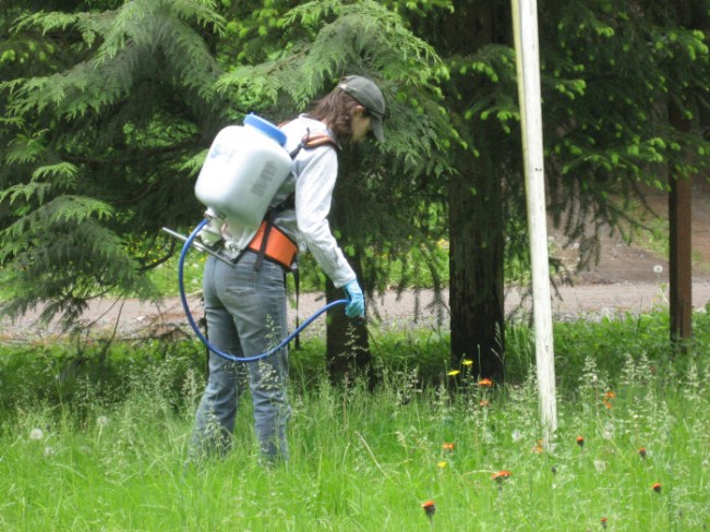 hieaur-sarah-spray-horz