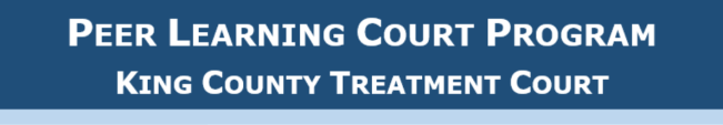 peer learning court program