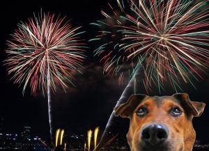 Pets and fireworks RASKC