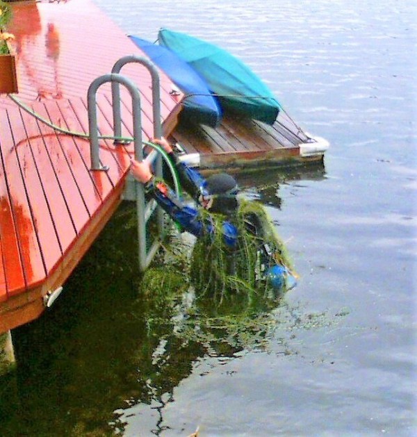 brazilian-elodea-diver-lake-union