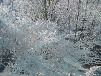 354397302_9b75dec702_o