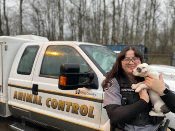 Animal Control Officer Shepherd recognized in The Seattle Times ...
